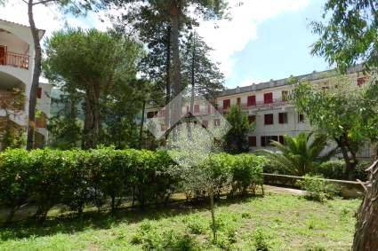 Appartamento a Centola in Località Trivento, 5 - Foto 2