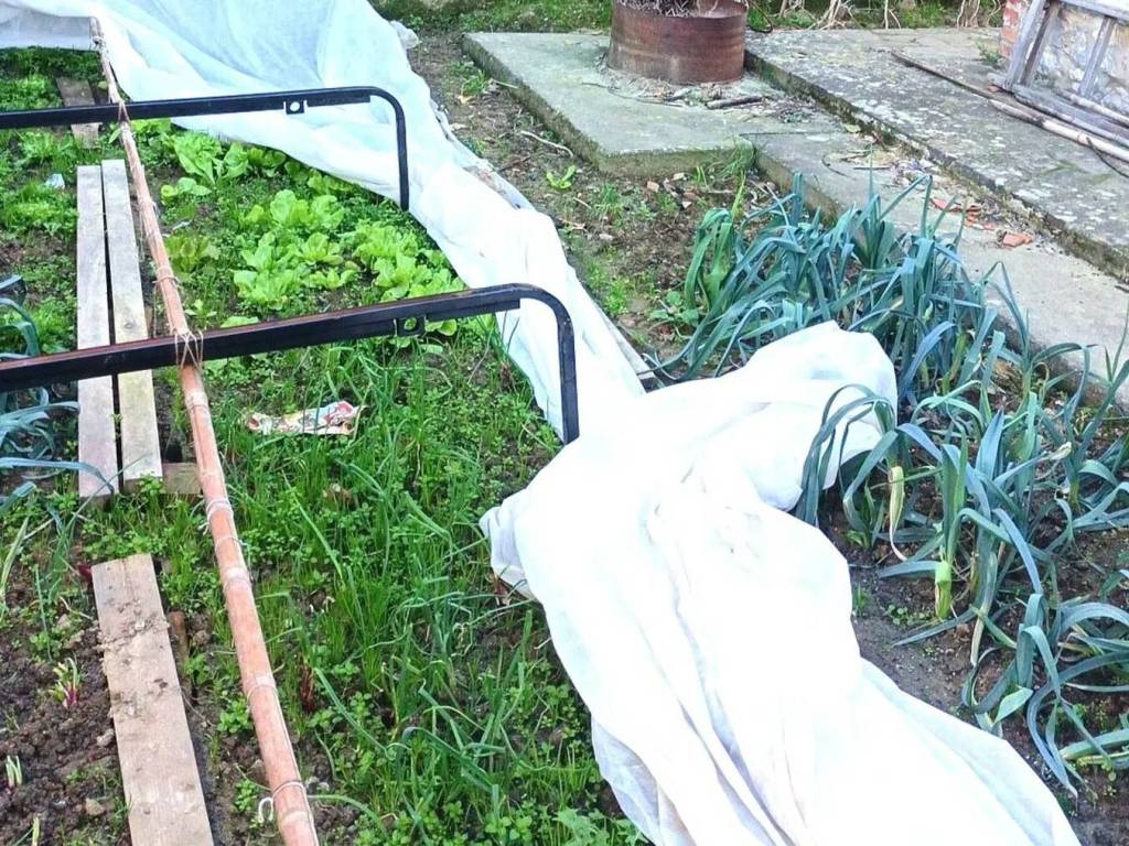 Villa a Capannoli in Via Giuseppe Mazzini, 10 - Foto 4