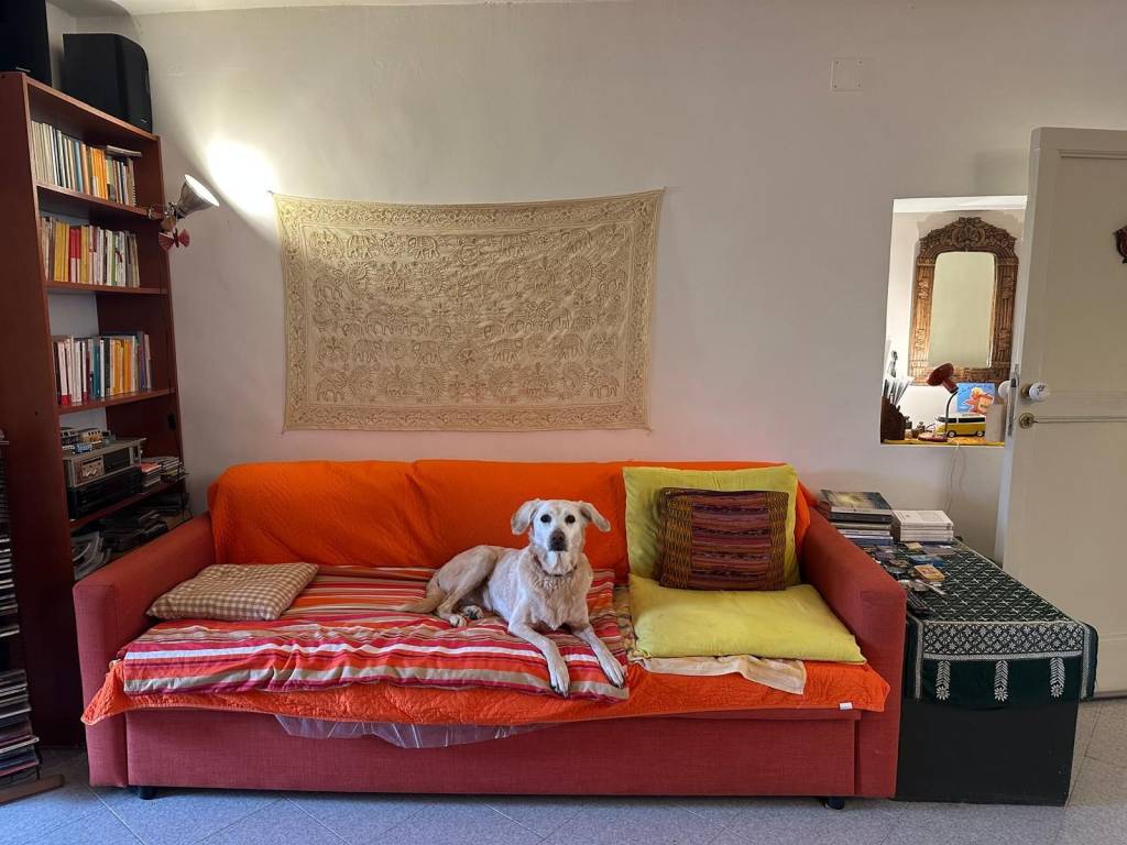 Casa indipendente a Agnone in Salita San Felice - Foto 5