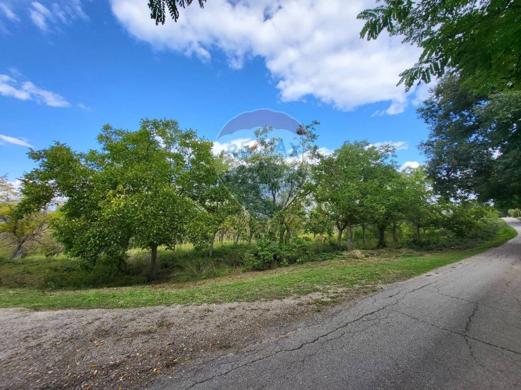 Terreno a Mergo in Via Giovanni XXIII - Foto 2