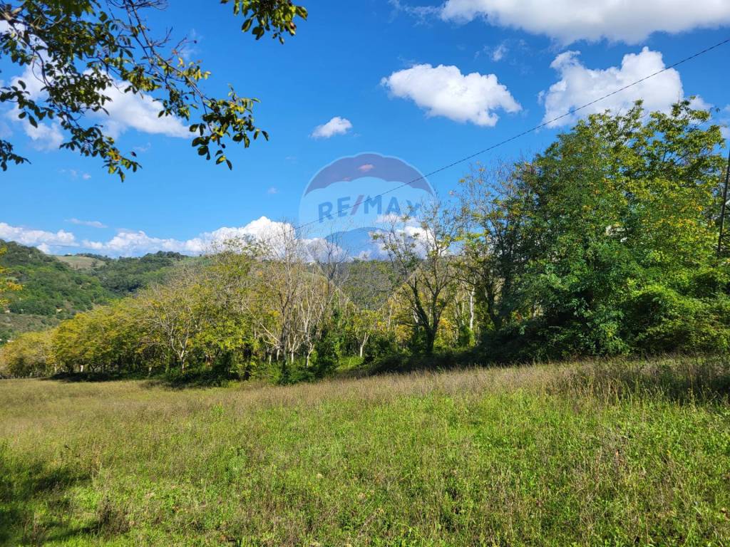 Terreno a Serra san quirico in Località Esinante Sasso - Foto 5