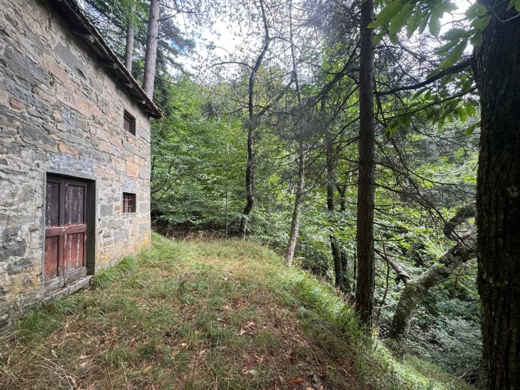 Rustico / casale a Coreglia antelminelli in Località Pezzo dei Preti, snc - Foto 4