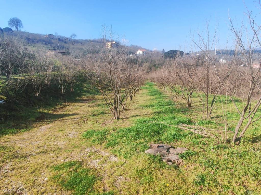 Terreno a Avellino in Contrada Cesine - Foto 2