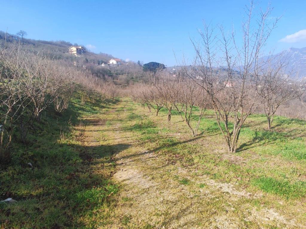 Terreno a Avellino in Contrada Cesine - Foto 3