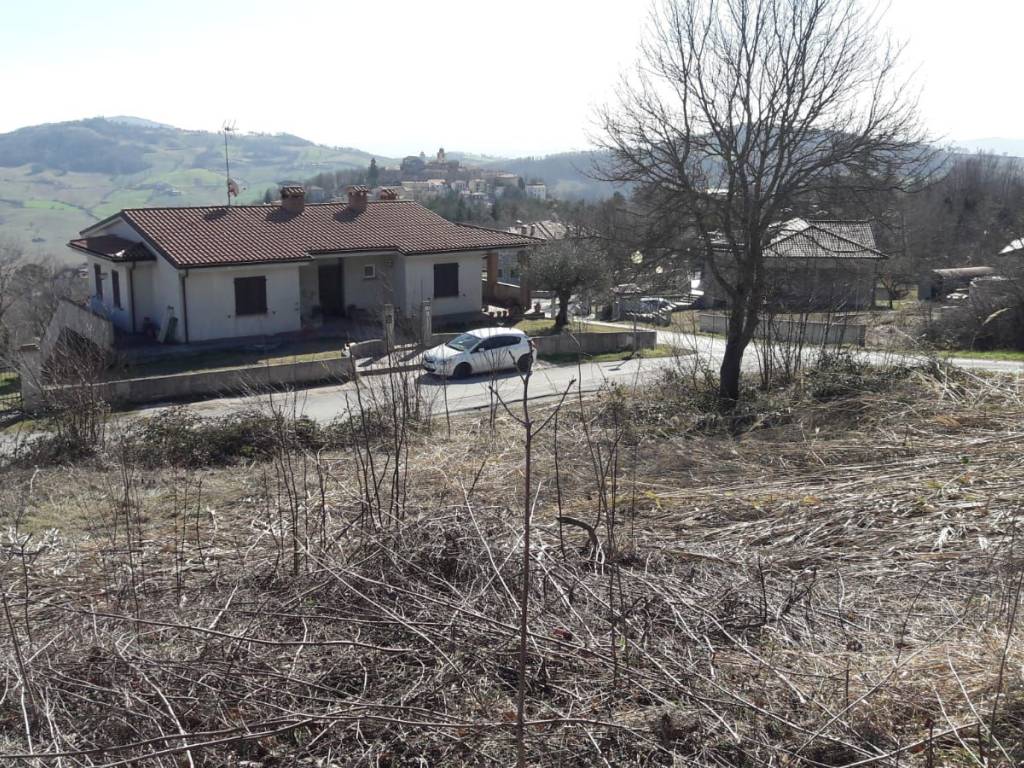 Terreno a Monte grimano terme in Località Seriole - Foto 3