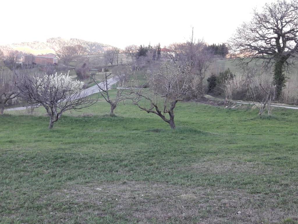 Terreno a Monte grimano terme in Via Ca' Righeto - Foto 3