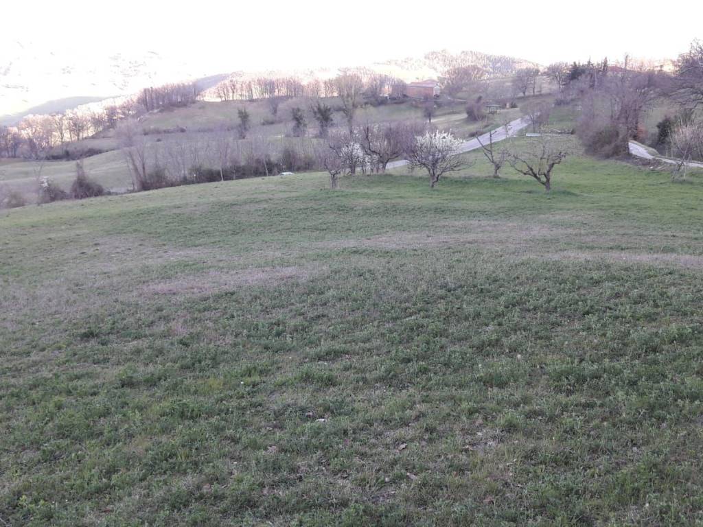 Terreno a Monte grimano terme in Via Ca' Righeto - Foto 5