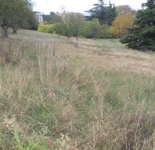 Terreno a Potenza in Borgo San Rocco - Foto 2