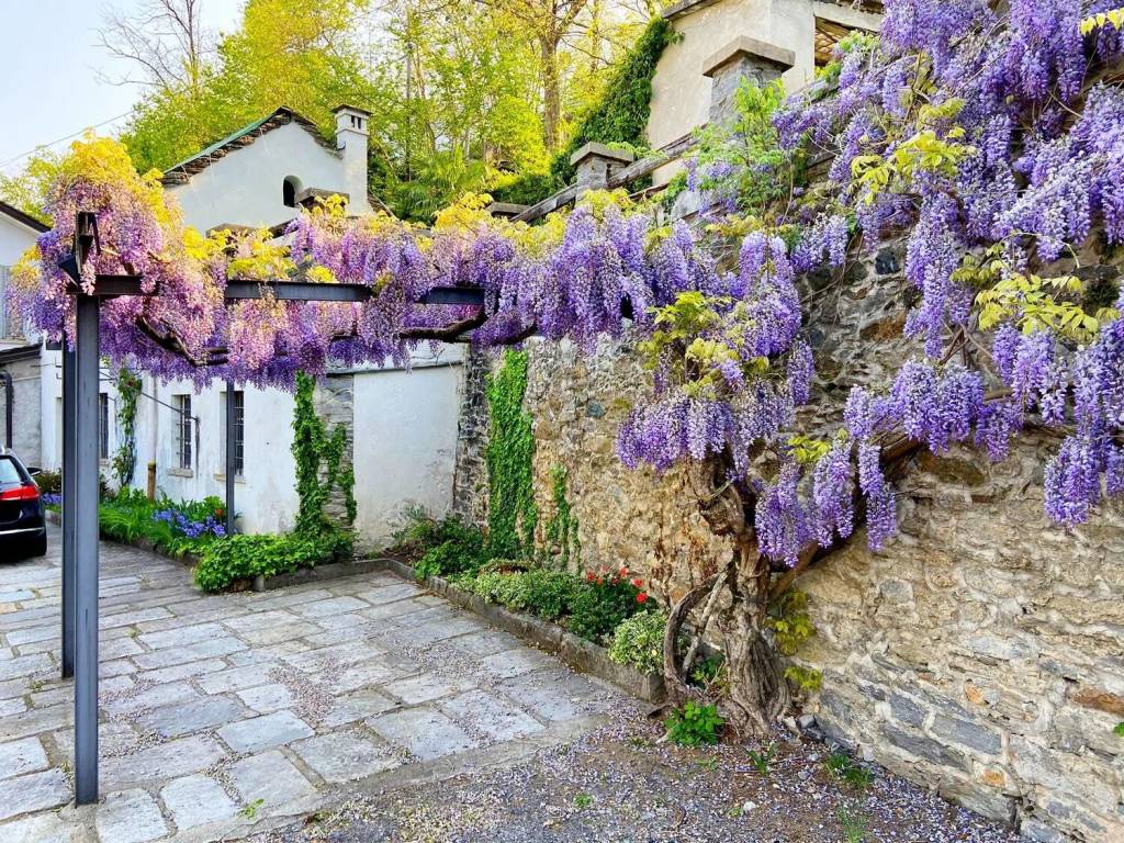 Villa a Trontano in Via Provinciale, 13 - Foto 5