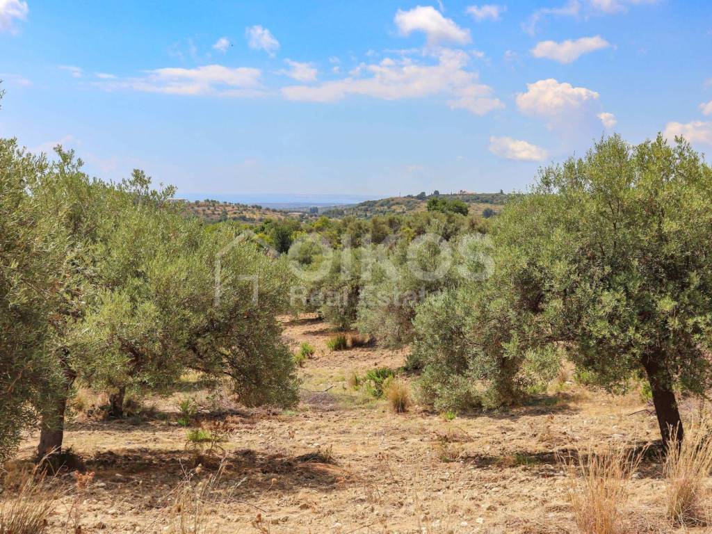 Terreno a Avola in C.da Bochini, 1 - Foto 4