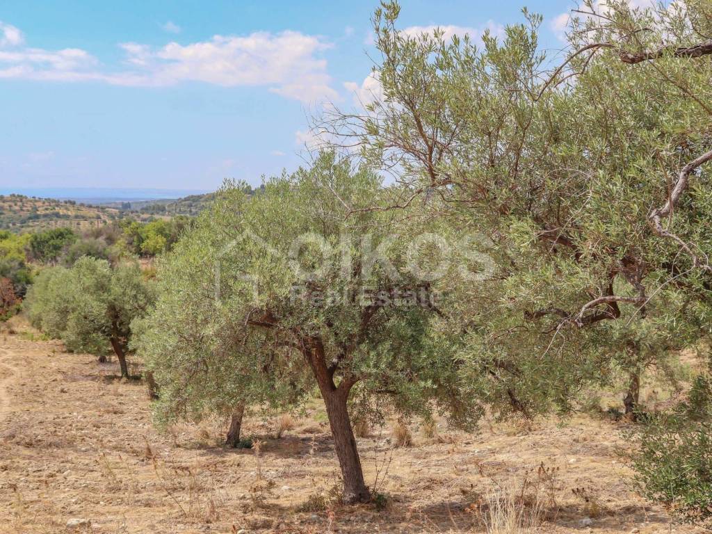 Terreno a Avola in C.da Bochini, 1 - Foto 5