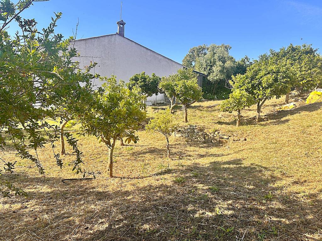 Terreno a Loiri porto san paolo in Trudda via Angona - Foto 3