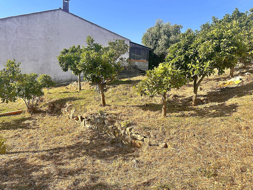 Terreno a Loiri porto san paolo in Trudda via Angona - Foto 5
