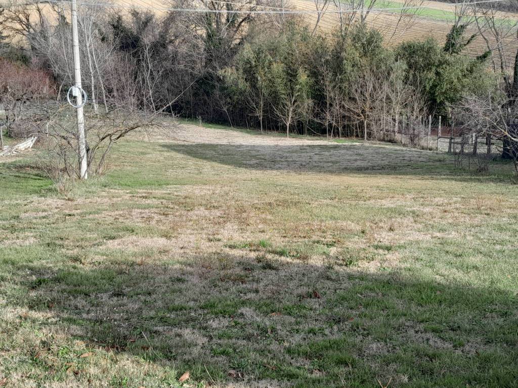 Terreno a Mondavio - Foto 3