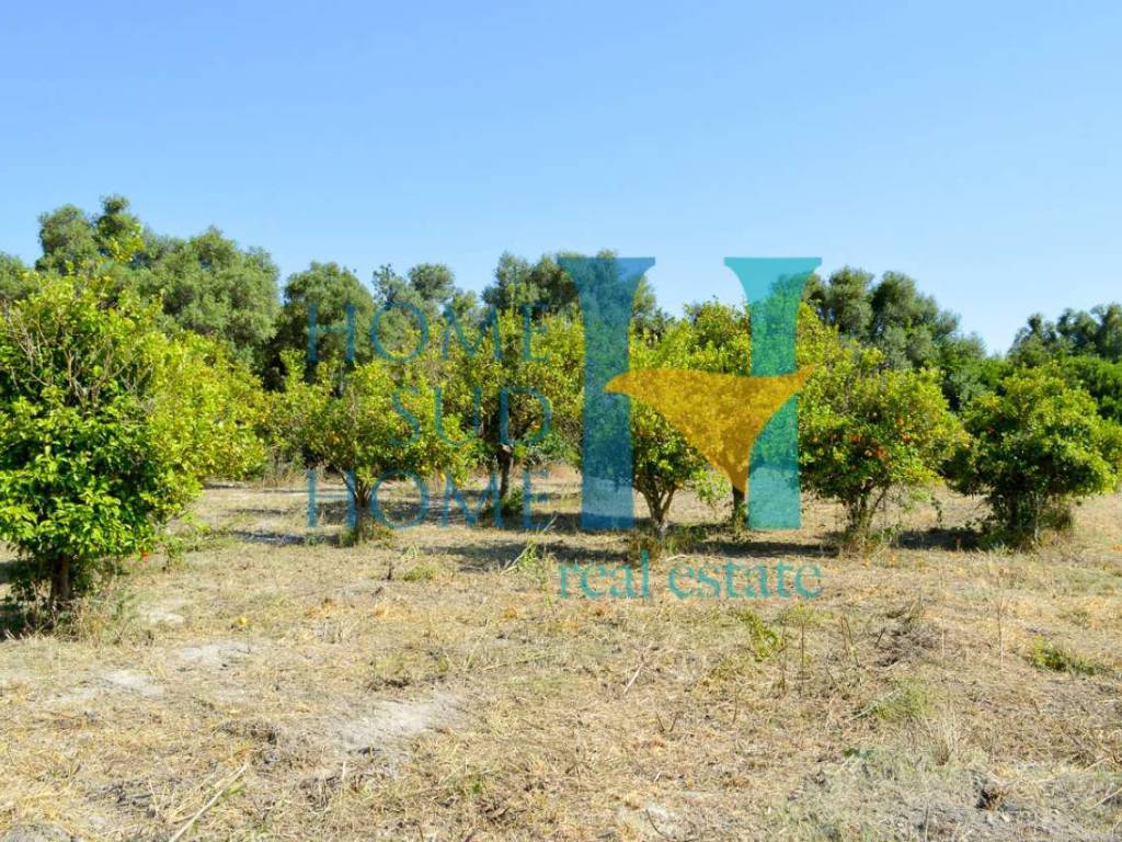 Terreno a Noto - Foto 3