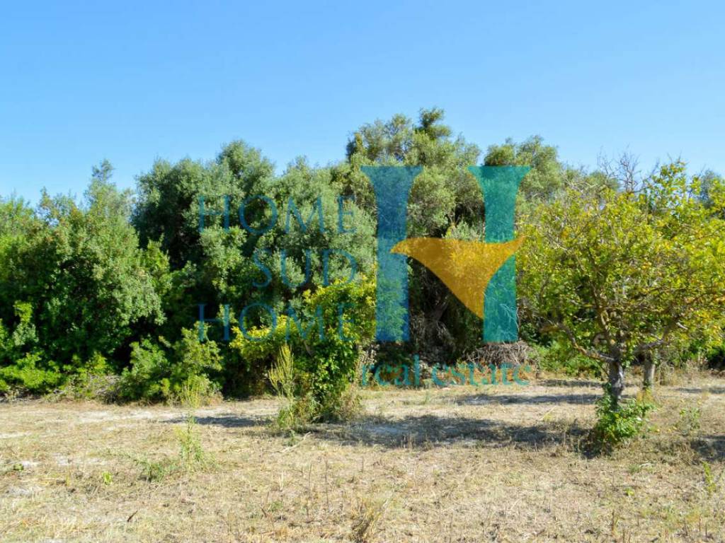 Terreno a Noto - Foto 4