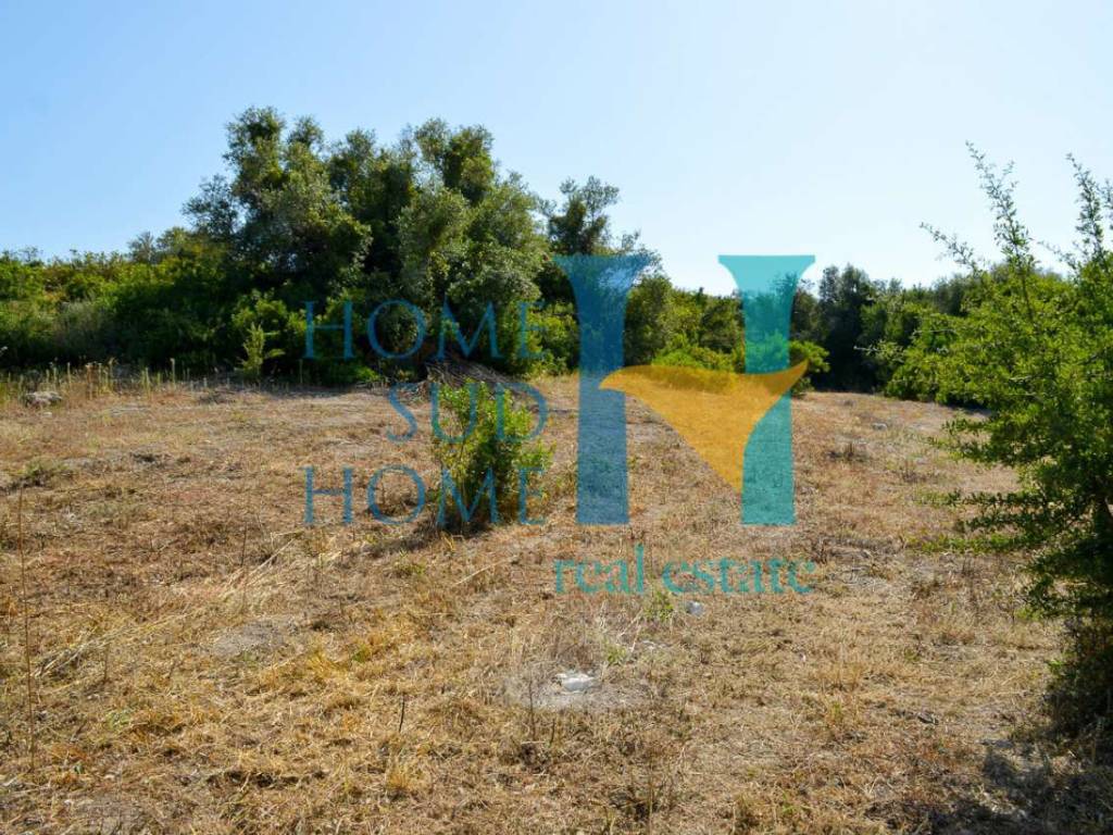 Terreno a Noto - Foto 5