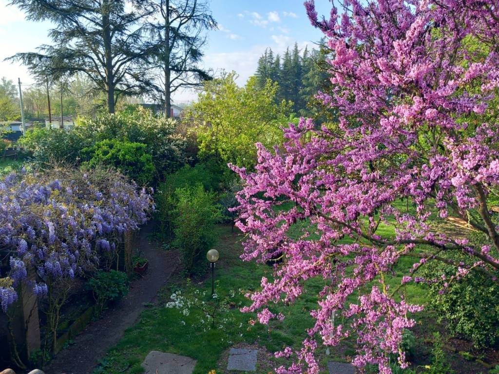 Villa a Alessandria - Foto 5