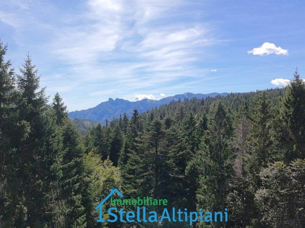 Appartamento a Lavarone in Località Malga Laghetto - Foto 3