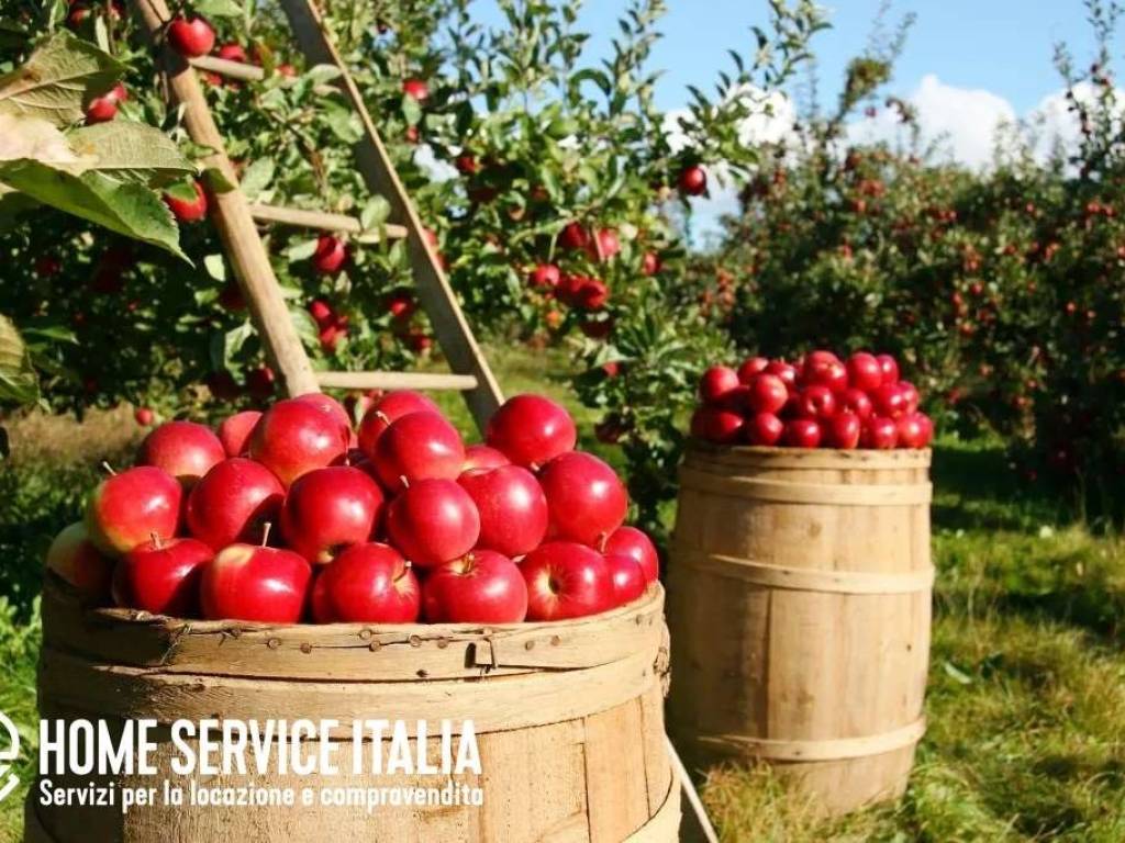 Terreno a Campodenno in Campodenno - Foto 3
