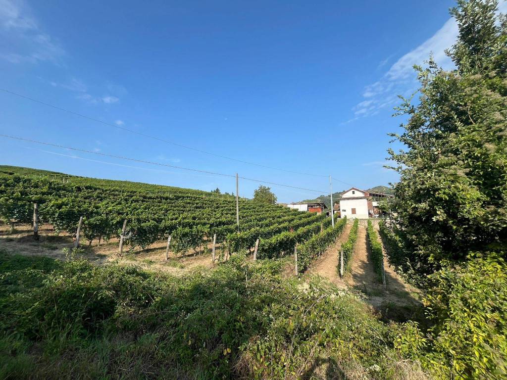 Terreno a Canelli in Corso della Libertà, 19 - Foto 2