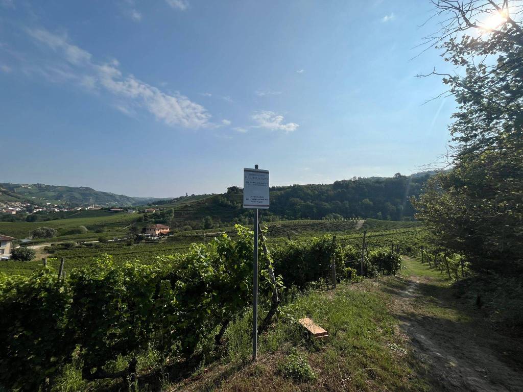 Terreno a Canelli in Corso della Libertà, 19 - Foto 3
