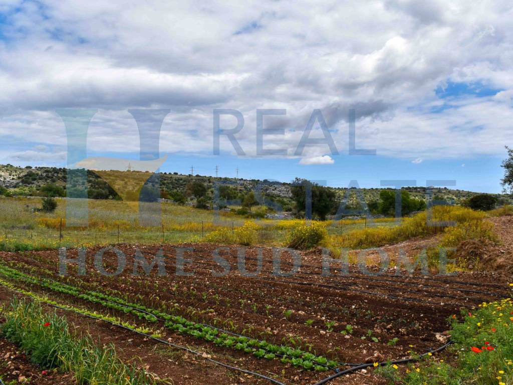 Rustico / casale a Palazzolo acreide - Foto 3