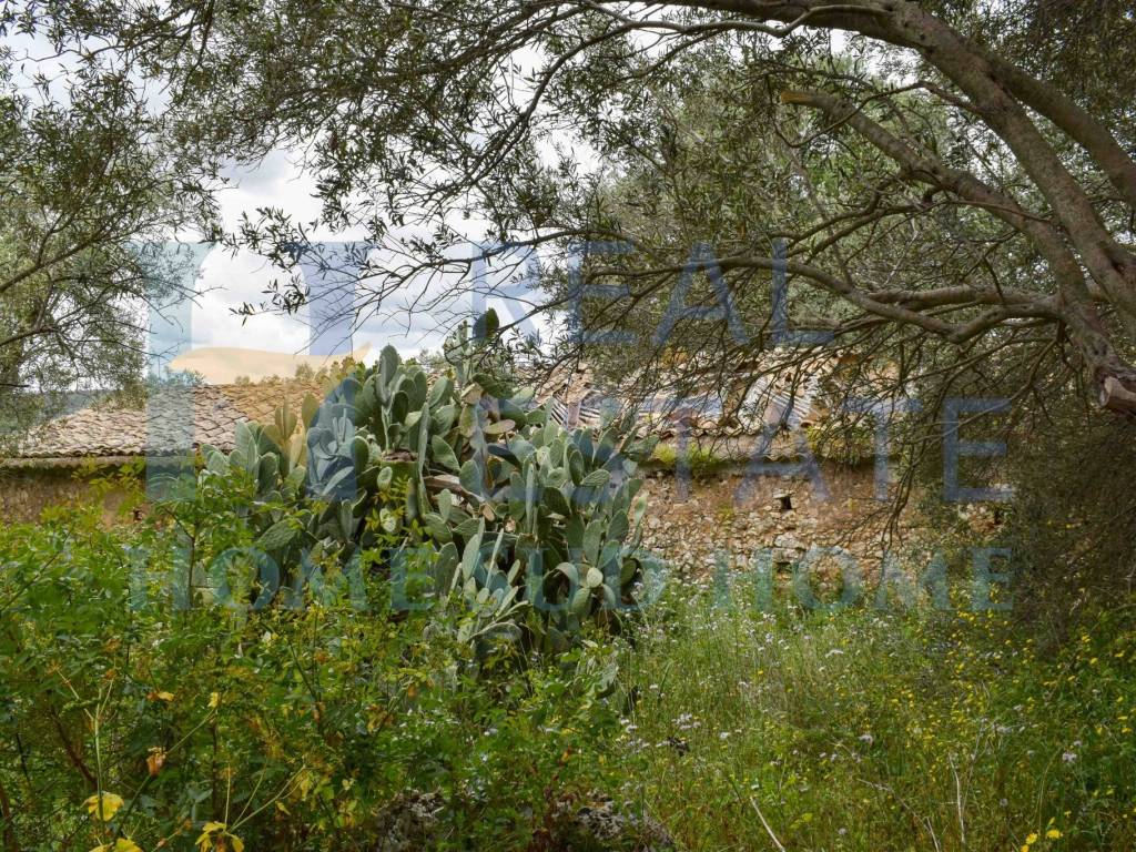 Rustico / casale a Palazzolo acreide - Foto 5
