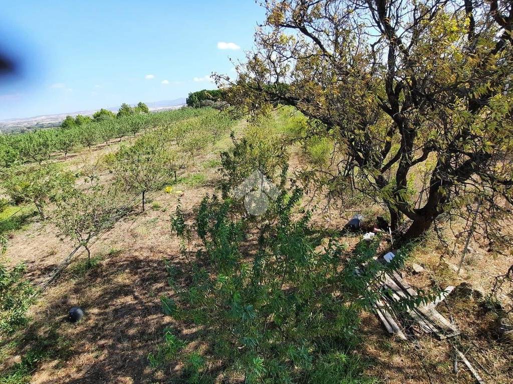 Terreno a Sestu in Località Corraxi - Foto 3