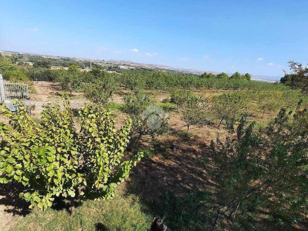 Terreno a Sestu in Località Corraxi - Foto 4