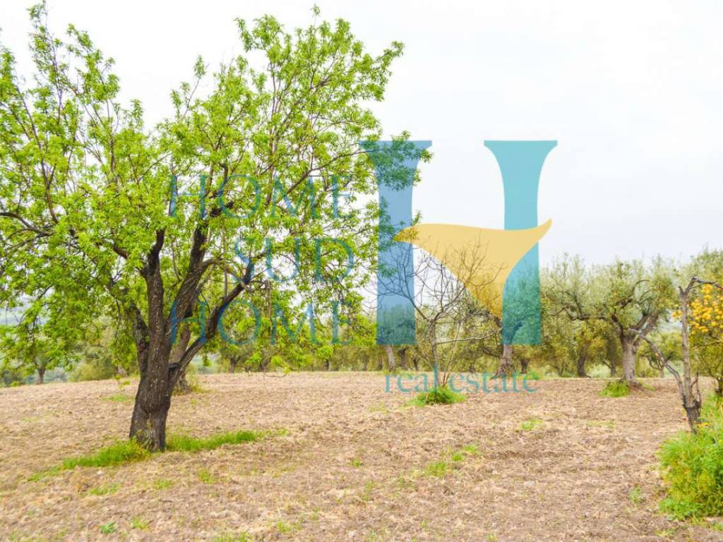 Rustico / casale a Noto - Foto 4
