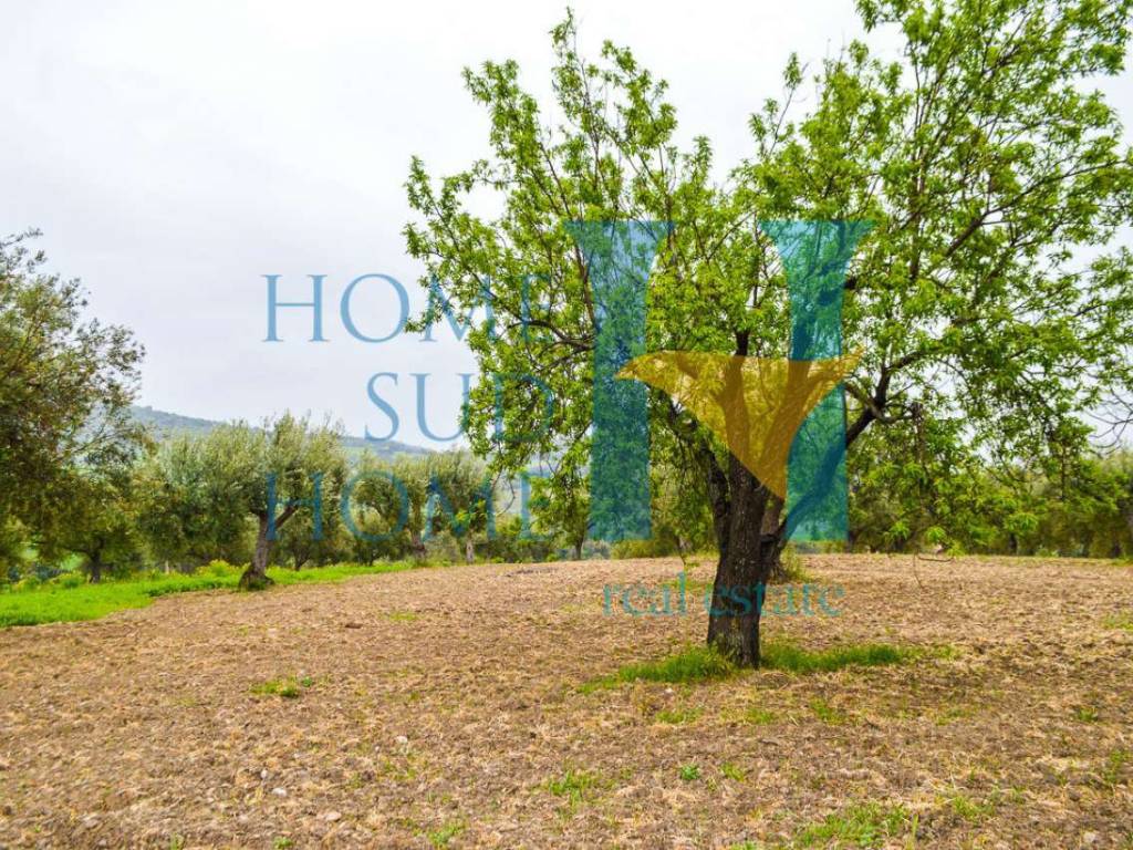 Rustico / casale a Noto - Foto 5