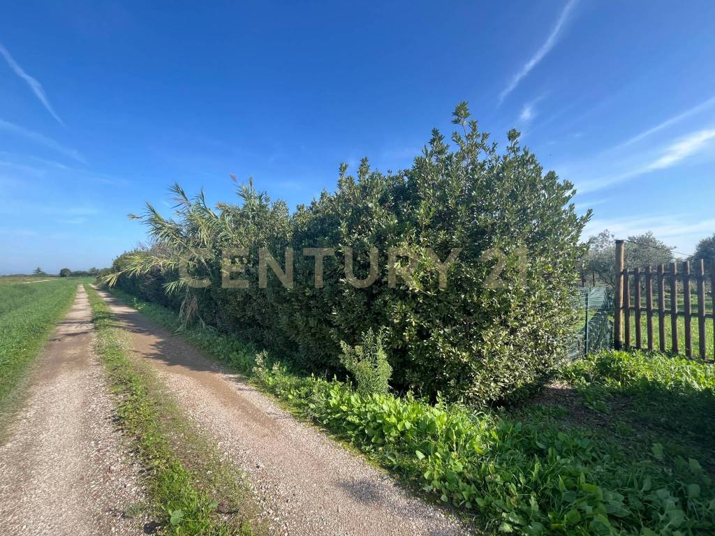 Terreno a Grosseto in Strada del Querciolo - Foto 5
