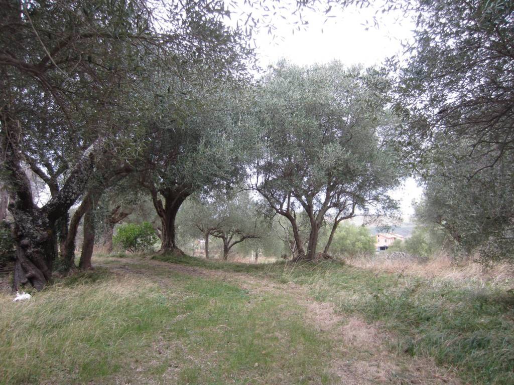 Villa a Cingoli in Villa Torre - Foto 3