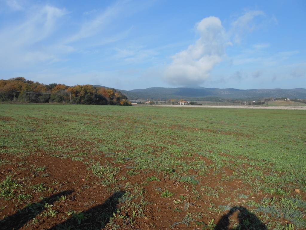 Terreno a Orbetello in Strada Pedemontana - Foto 2