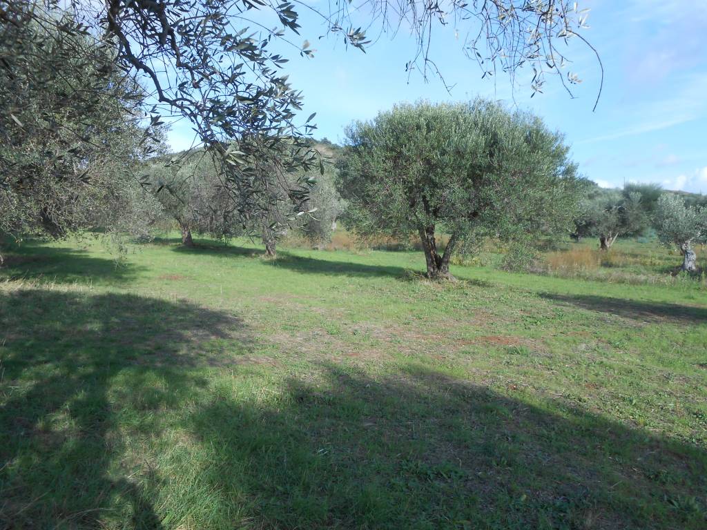 Terreno a Orbetello in Strada Pedemontana - Foto 3