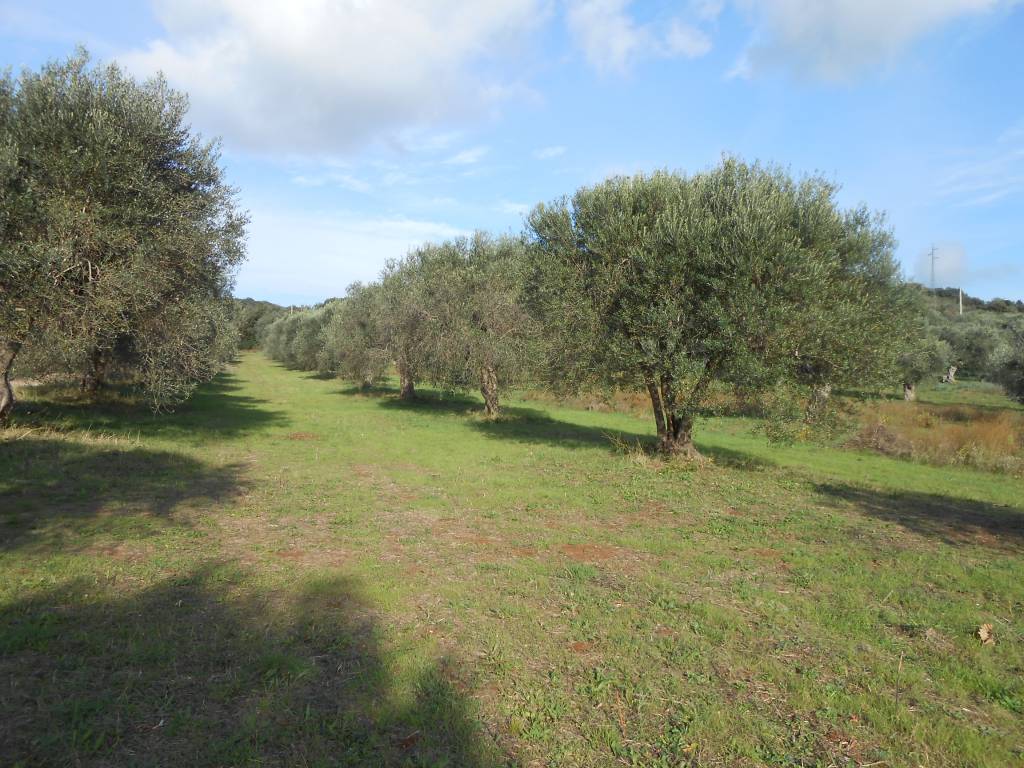 Terreno a Orbetello in Strada Pedemontana - Foto 4