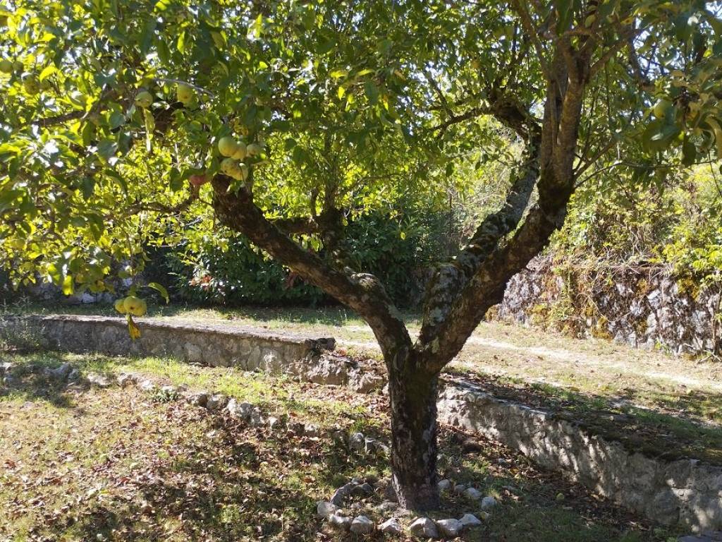 Villa a Trevi nel lazio in Via Acutina - Foto 5