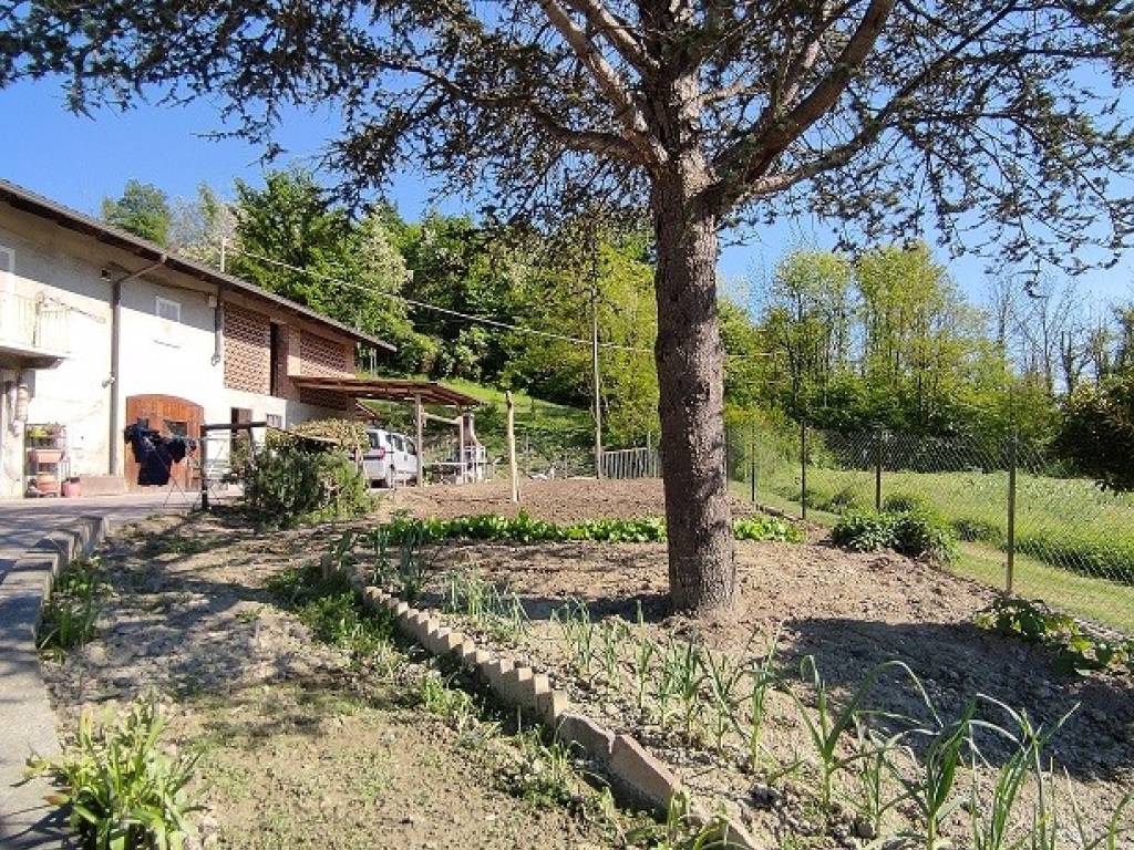 Rustico / casale a Chiusano d'asti in Via Piol - Foto 5