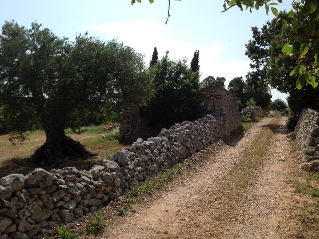 Rustico / casale a Martina franca in Strada Zippitello Zona a - Foto 4