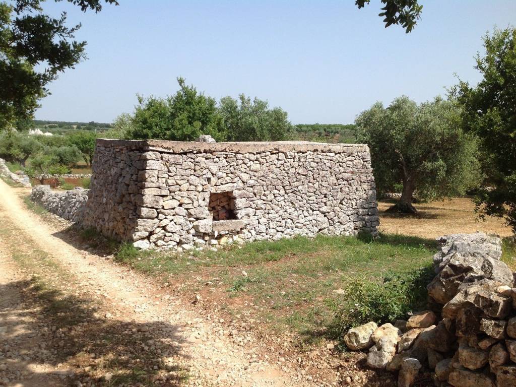 Rustico / casale a Martina franca in Strada Zippitello Zona a - Foto 5