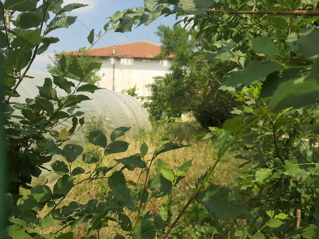 Rustico / casale a Ceresole alba in Cascina Aprile - Foto 2