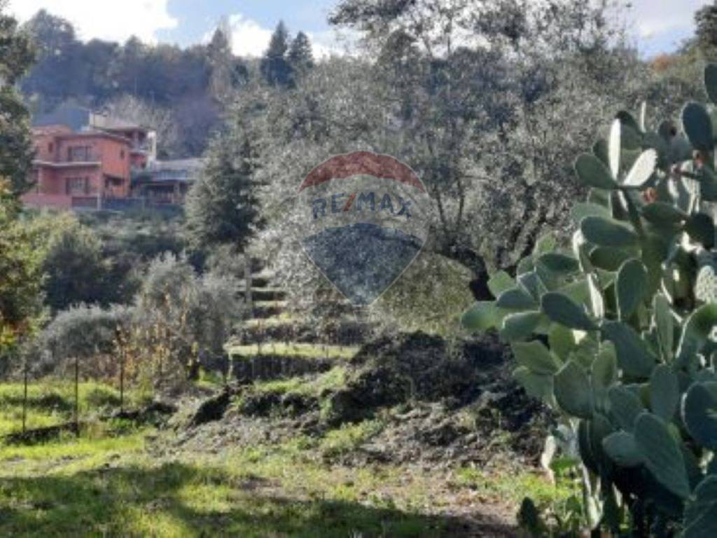 Terreno a Piedimonte etneo in Via vena - Foto 4