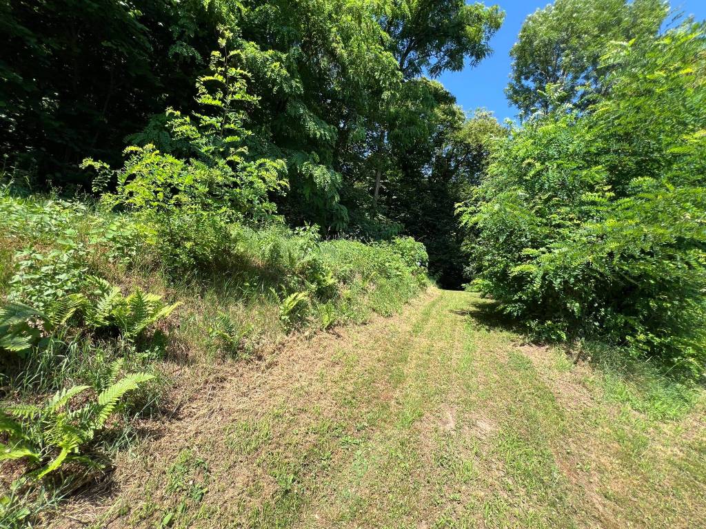 Terreno a Manta in Via Valcrosa - Foto 2