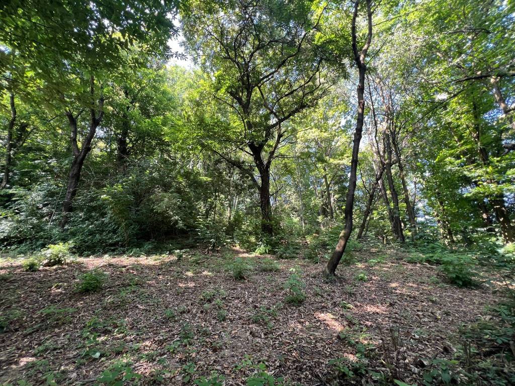 Terreno a Manta in Via Valcrosa - Foto 4