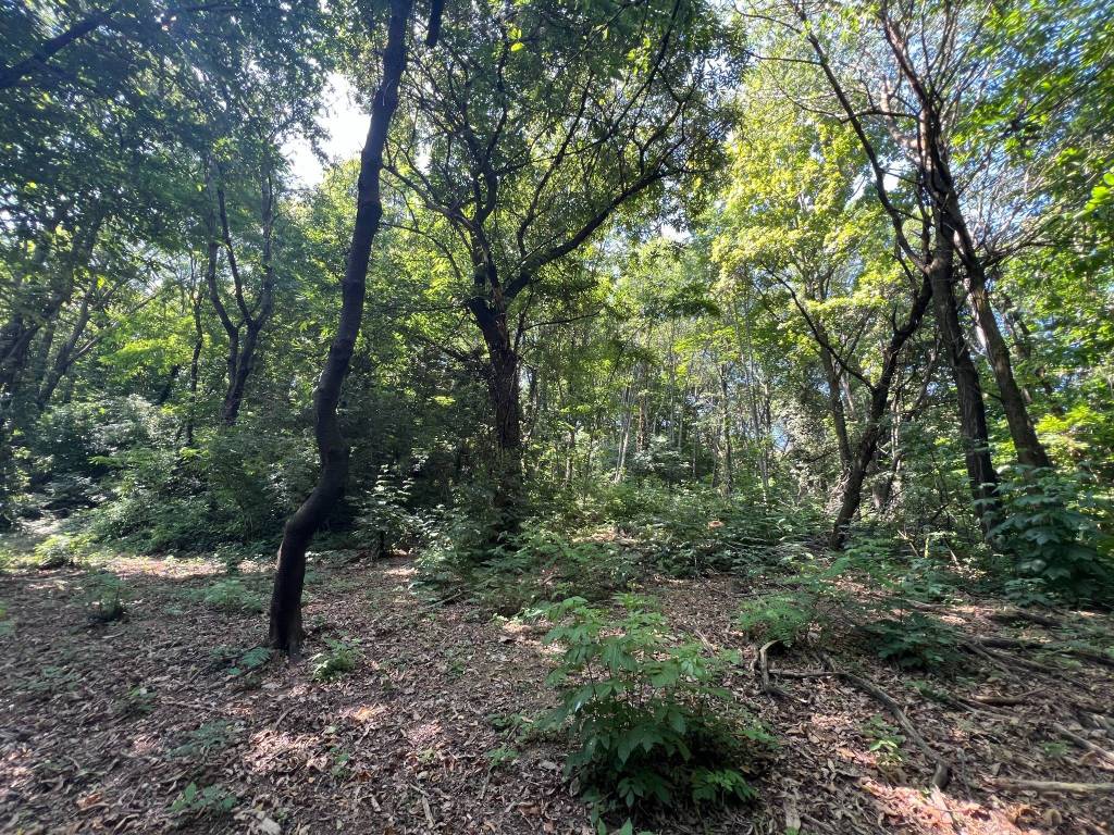 Terreno a Manta in Via Valcrosa - Foto 5