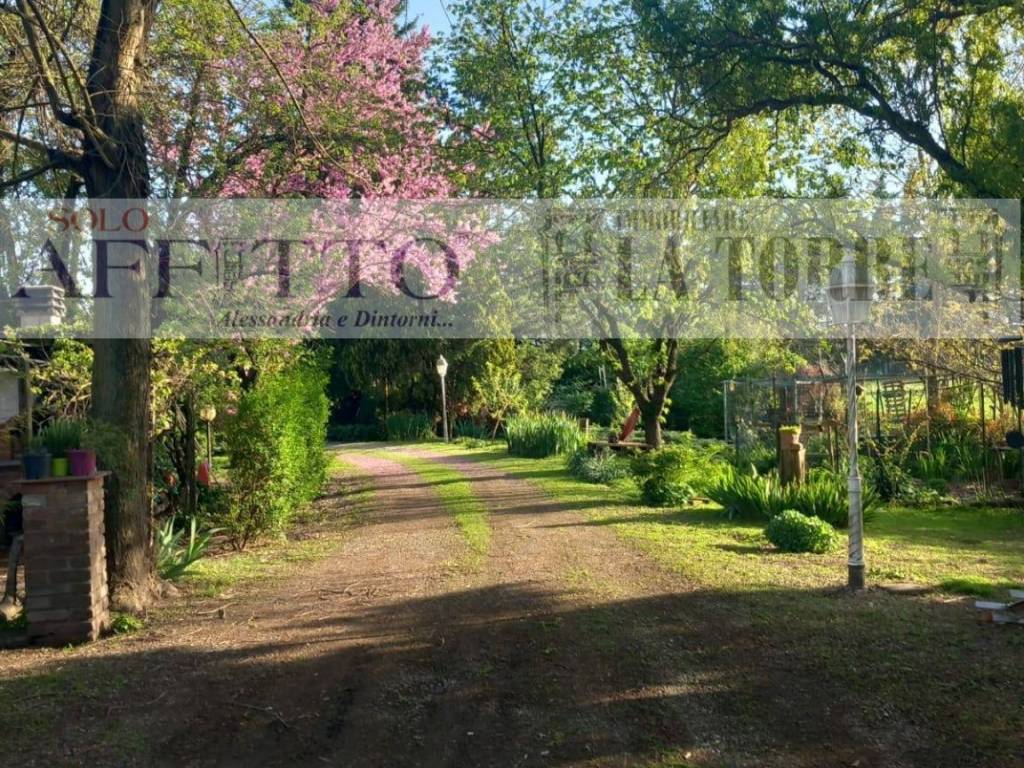 Villa a Alessandria in VIA OSTARIETTA - Foto 5