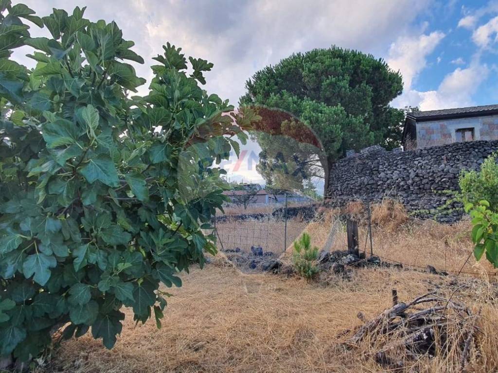 Terreno a Pedara in VIA ACICASTELLO, 14 - Foto 5