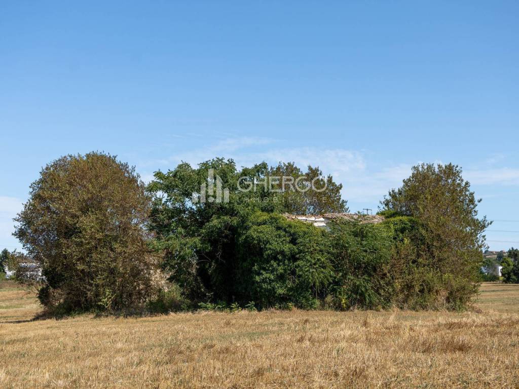 Rustico / casale a Osimo in Via della Sbrozzola - Foto 3