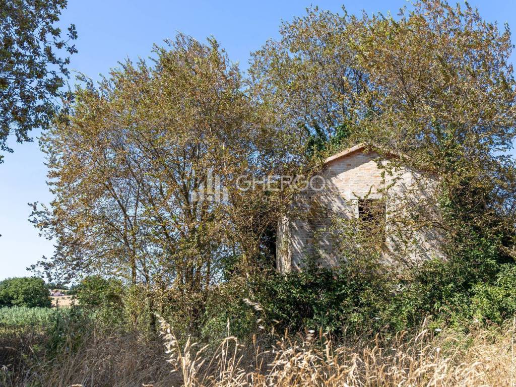 Rustico / casale a Osimo in Via della Sbrozzola - Foto 4
